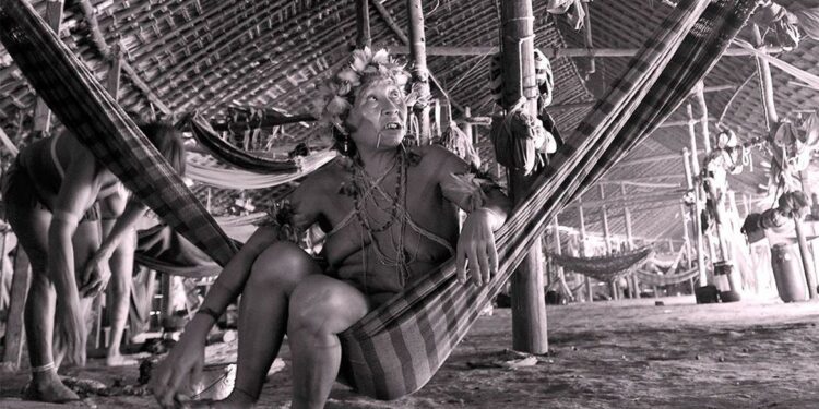 Ministério aponta que governo Bolsonaro ignorou alertas sobre yanomami
