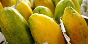 Governo prorroga prazo para cadastro na Agricultura Familiar