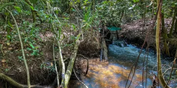 Fronteira entre Amazônia e Cerrado: clima deve comprometer viabilidade de 74% das terras agrícolas até 2060 Fronteira entre Amazônia e Cerrado: clima deve comprometer viabilidade de 74% das terras agrícolas até 2060