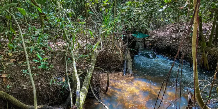 Fronteira entre Amazônia e Cerrado: clima deve comprometer viabilidade de 74% das terras agrícolas até 2060 Fronteira entre Amazônia e Cerrado: clima deve comprometer viabilidade de 74% das terras agrícolas até 2060