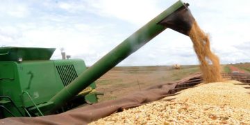 Preço da soja subiu no último fechamento Preço da soja subiu no último fechamento