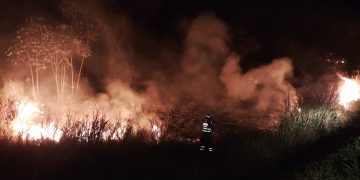 Incêndios causados pela seca podem agravar cenário de interrupções de energia elétrica Incêndios causados pela seca podem agravar cenário de interrupções de energia elétrica