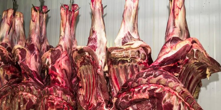Mercado de bovinos encerrou julho com negócios estáveis