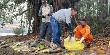 Pescadores do Rio Piracicaba recebem apoio após nova mortandade de peixes Pescadores do Rio Piracicaba recebem apoio após nova mortandade de peixes