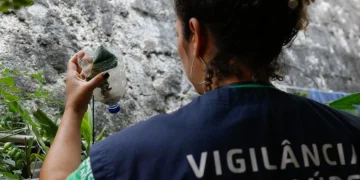 São Paulo registra o maior número de casos de dengue e Distrito Federal a maior taxa de incidência em 2024