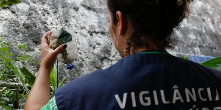 São Paulo registra o maior número de casos de dengue e Distrito Federal a maior taxa de incidência em 2024