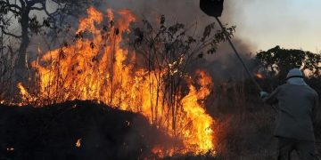 Brasil tem aumento de 107% nos focos de incêndios florestais Brasil tem aumento de 107% nos focos de incêndios florestais