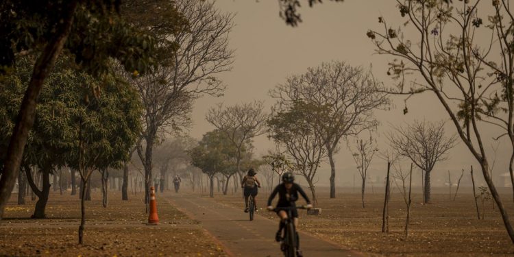 Como se proteger da fumaça provocada pelas queimadas? Como se proteger da fumaça provocada pelas queimadas?