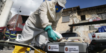 Dengue: plano de ação é antecipado