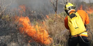 QUEIMADAS: Brasil registra 184 mil focos; estados atuam no combate aos incêndios QUEIMADAS: Brasil registra 184 mil focos; estados atuam no combate aos incêndios