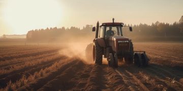 100 municípios mais ricos no agro contribuem com 31,9% da produção agrícola brasileira 100 municípios mais ricos no agro contribuem com 31,9% da produção agrícola brasileira