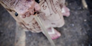 Acidente doméstico: 1 em cada 3 idosos sofre uma queda por ano, estima Into Acidente doméstico: 1 em cada 3 idosos sofre uma queda por ano, estima Into