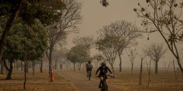 Queimadas: setor estima perda de mais de 400 mil hectares de cana-de-açúcar em todo o país