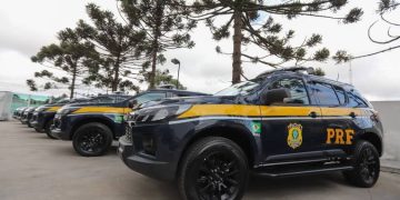 Estradas no feriado: PRF realiza Operação Proclamação da República 2024 Estradas no feriado: PRF realiza Operação Proclamação da República 2024