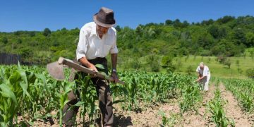 Centro-Oeste lidera concessões de crédito rural com R$ 15,7 milhões no 2º trimestre de 2024