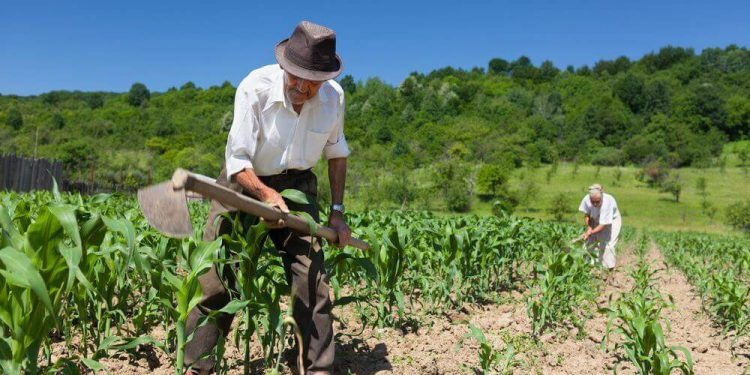 Centro-Oeste lidera concessões de crédito rural com R$ 15,7 milhões no 2º trimestre de 2024 Centro-Oeste lidera concessões de crédito rural com R$ 15,7 milhões no 2º trimestre de 2024