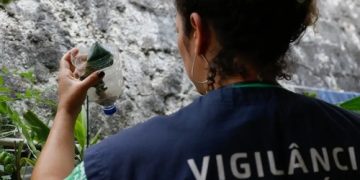 Dengue: Dia D de mobilização neste sábado (14) Dengue: Dia D de mobilização neste sábado (14)