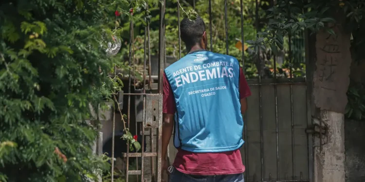 Arboviroses: previsões do MS apontam incidência elevada de casos em diversos para 2025 Arboviroses: previsões do MS apontam incidência elevada de casos em diversos para 2025