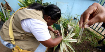 Em meio ao alerta sobre vírus respiratórios na China, médicos brasileiros se preocupam com dengue e Chikungunya Em meio ao alerta sobre vírus respiratórios na China, médicos brasileiros se preocupam com dengue e Chikungunya