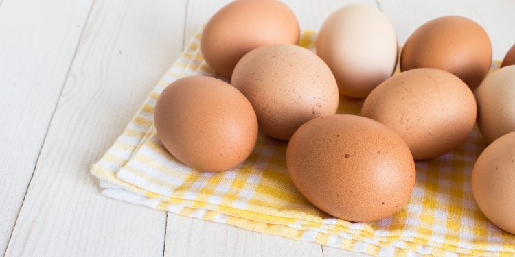 Carimbo nos ovos a granel: prazo é adiado para setembro Carimbo nos ovos a granel: prazo é adiado para setembro