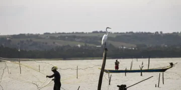 Período de defeso na Bacia Hidrográfica do Rio Amazonas termina em 28 de fevereiro Período de defeso na Bacia Hidrográfica do Rio Amazonas termina em 28 de fevereiro