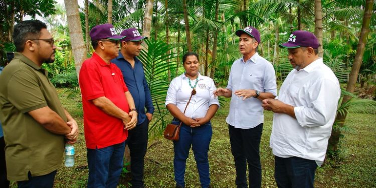 Amapá: Waldez Góes visita produtores de açaí e destaca importância do microcrédito