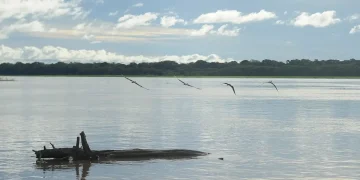 Auxílio Extraordinário: mais pescadores artesanais da Região Norte terão direito ao benefício