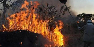 Bate-Papo com a Defesa Civil explica contratações emergenciais para enfrentar incêndios Bate-Papo com a Defesa Civil explica contratações emergenciais para enfrentar incêndios