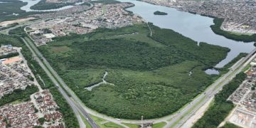 Cidades Verdes do Mundo: 34 municípios brasileiros fazem parte de seleta lista da ONU Cidades Verdes do Mundo: 34 municípios brasileiros fazem parte de seleta lista da ONU