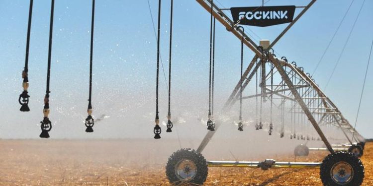 Irrigação: R$ 836 mi para expandir produção de banana, feijão, soja, milho e algodão na Bahia Irrigação: R$ 836 mi para expandir produção de banana, feijão, soja, milho e algodão na Bahia