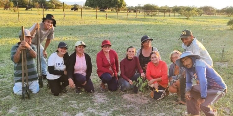 MIDR apoia projeto para restauração ambiental no semiárido MIDR apoia projeto para restauração ambiental no semiárido
