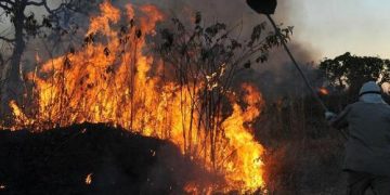 MIDR aprova R$ 11,7 milhões para ações de defesa civil na Amazônia MIDR aprova R$ 11,7 milhões para ações de defesa civil na Amazônia
