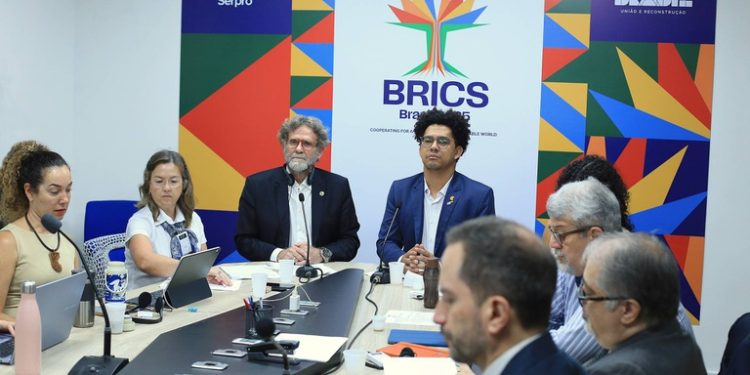 MIDR reforça compromisso com a gestão de riscos e desastres em reunião de grupo de trabalho do BRICS MIDR reforça compromisso com a gestão de riscos e desastres em reunião de grupo de trabalho do BRICS
