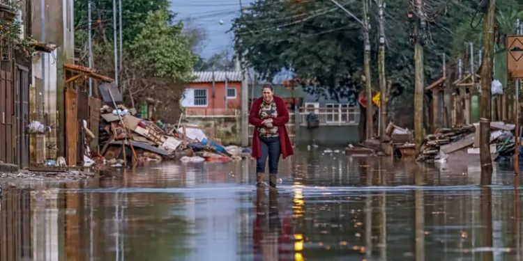 Mais de 368 mil famílias aprovadas no Auxílio Reconstrução Mais de 368 mil famílias aprovadas no Auxílio Reconstrução