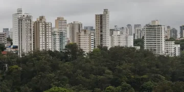 São Paulo lidera ranking de cidades brasileiras com maior intensidade de ligações empresariais