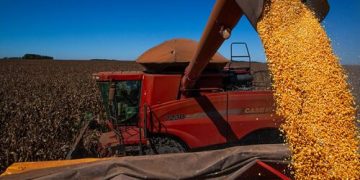 Tarifaço de Trump: cenário pode ser oportuno para exportações brasileiras de café e soja