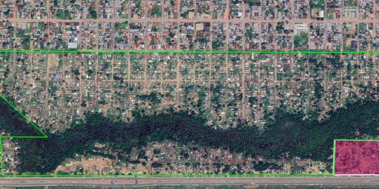 União transfere 2,5 milhões de hectares ao Amapá União transfere 2,5 milhões de hectares ao Amapá