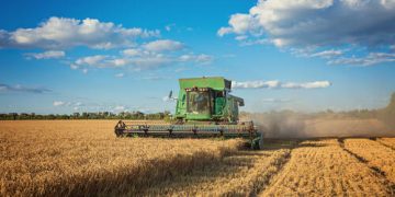 Agronegócio: safra de grãos 24/25 projeta recorde de 332,9 milhões de toneladas Agronegócio: safra de grãos 24/25 projeta recorde de 332,9 milhões de toneladas