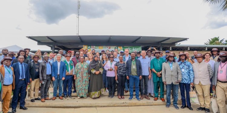 Brasil inspira África com tecnologias para transformar o semiárido em polo produtivo Brasil inspira África com tecnologias para transformar o semiárido em polo produtivo