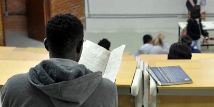 Educação: 32,5% dos municípios brasileiros estão na faixa de baixo desenvolvimento