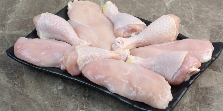 Gripe aviária: produtores de carne de frango em estado de alerta, aponta Cepea Gripe aviária: produtores de carne de frango em estado de alerta, aponta Cepea