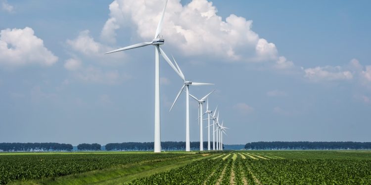 Energia limpa avança na indústria: 48% das empresas já adotam fontes renováveis Energia limpa avança na indústria: 48% das empresas já adotam fontes renováveis