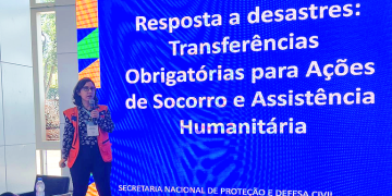 Gestores recebem orientações práticas para acessar recursos federais em desastres Gestores recebem orientações práticas para acessar recursos federais em desastres