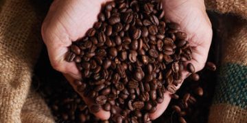 Café arábica tem queda no preço nesta quinta-feira (31) Café arábica tem queda no preço nesta quinta-feira (31)