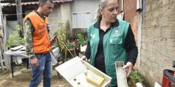 Goiânia (GO): município registra mais de 21 mil casos e sete mortes por dengue em 2025 Goiânia (GO): município registra mais de 21 mil casos e sete mortes por dengue em 2025