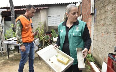 Goiânia (GO): município registra mais de 21 mil casos e sete mortes por dengue em 2025 Goiânia (GO): município registra mais de 21 mil casos e sete mortes por dengue em 2025