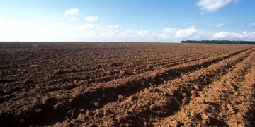 Goiás inicia vazio sanitário da soja nesta sexta-feira; medida já vale em outros estados Goiás inicia vazio sanitário da soja nesta sexta-feira; medida já vale em outros estados