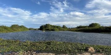 Velho Chico vence 412 km e chega para ficar no Rio Grande do Norte Velho Chico vence 412 km e chega para ficar no Rio Grande do Norte
