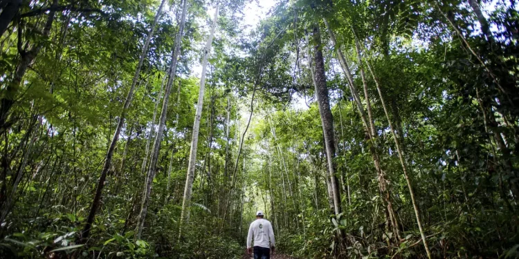 Brasil pode faturar até US$ 140 bilhões por ano com bioeconomia até 2032 Brasil pode faturar até US$ 140 bilhões por ano com bioeconomia até 2032