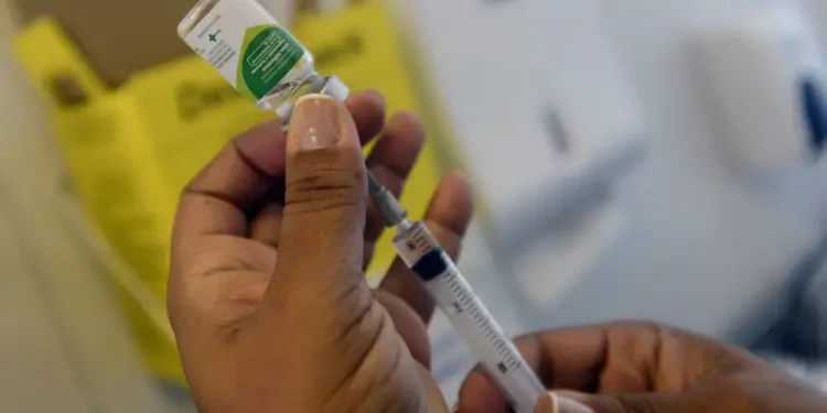 Brasil terá vacina contra o vírus sincicial respiratório a partir de novembro Brasil terá vacina contra o vírus sincicial respiratório a partir de novembro